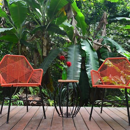 Pousada Casa Viva A Vida Lencois Bagian luar foto