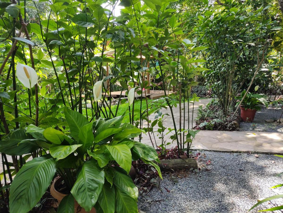 Pousada Casa Viva A Vida Lencois Bagian luar foto