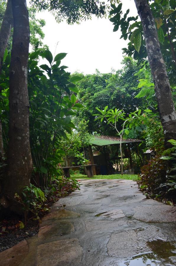 Pousada Casa Viva A Vida Lencois Bagian luar foto