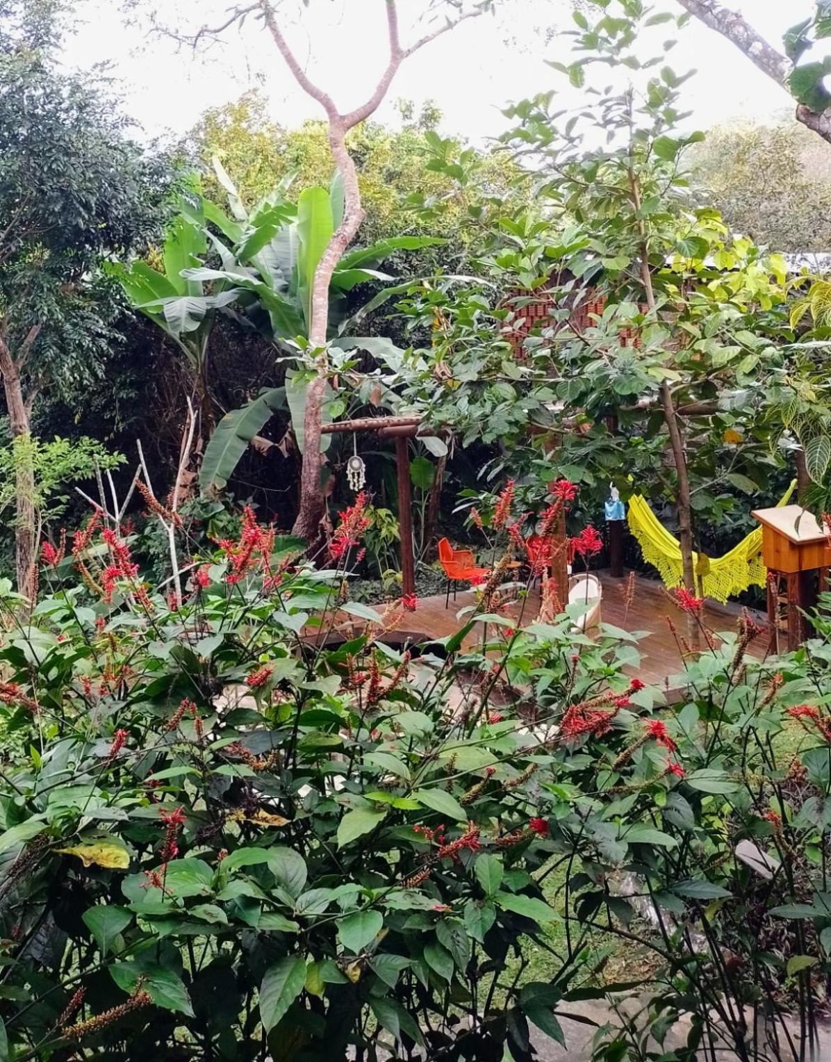 Pousada Casa Viva A Vida Lencois Bagian luar foto